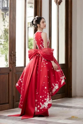 Chinese Tea Ceremony Wedding Dress